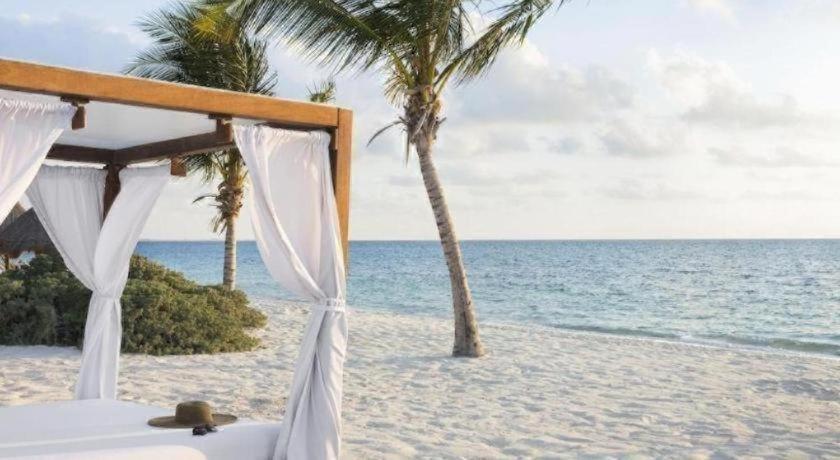 Excellence Playa Mujeres (adults Only) Cancún
